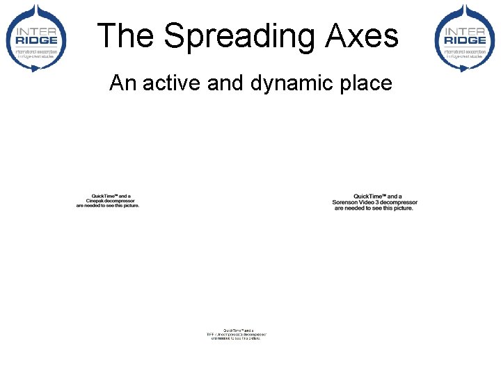 The Spreading Axes An active and dynamic place 