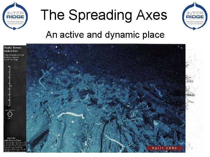 The Spreading Axes An active and dynamic place 