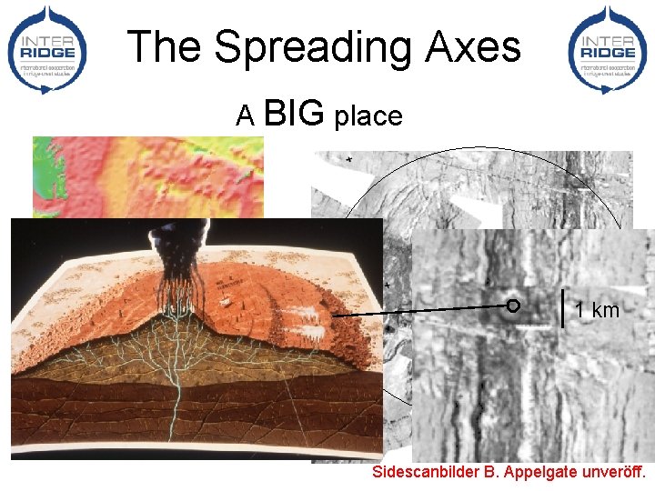The Spreading Axes A BIG place 1 km Sidescanbilder B. Appelgate unveröff. 