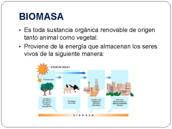 BIOMASA • Es toda sustancia orgánica renovable de origen tanto animal como vegetal. •