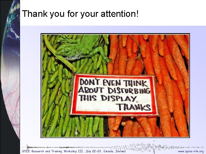 Thank you for your attention! SPICE Research and Training Workshop III, July 22 -28, Thank you for your attention! SPICE Research and Training Workshop III, July 22 -28,