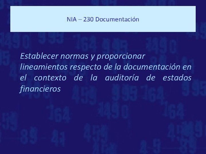 NIA – 230 Documentación Establecer normas y proporcionar lineamientos respecto de la documentación en