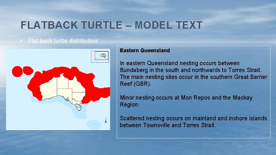 FLATBACK TURTLE – MODEL TEXT • Flat back turtle distribution Eastern Queensland In eastern