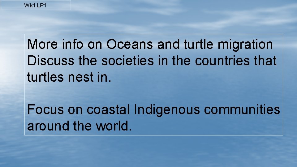 More info on Oceans and turtle migration Discuss the societies in the countries that