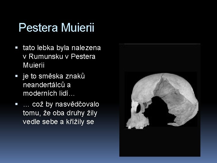 Pestera Muierii tato lebka byla nalezena v Rumunsku v Pestera Muierii je to směska