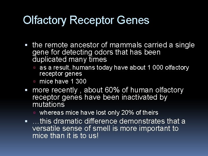Olfactory Receptor Genes the remote ancestor of mammals carried a single gene for detecting