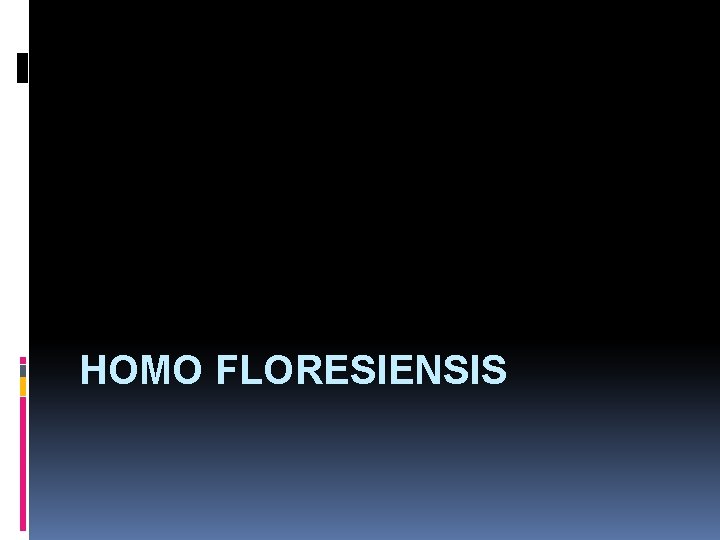 HOMO FLORESIENSIS 