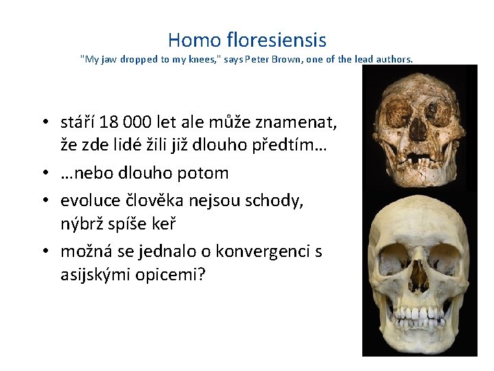 Homo floresiensis "My jaw dropped to my knees, " says Peter Brown, one of