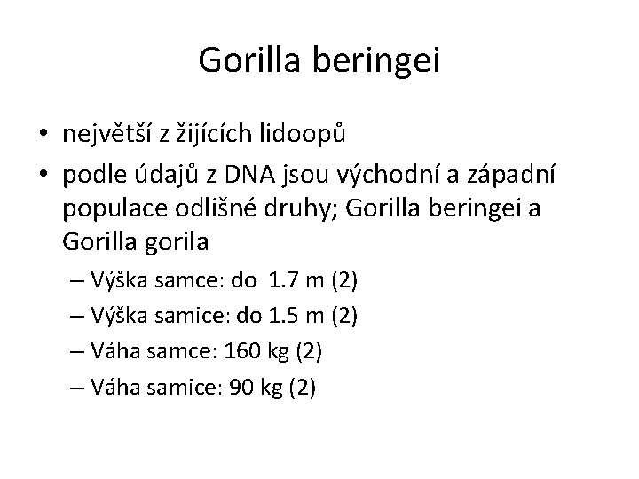 Gorilla beringei • největší z žijících lidoopů • podle údajů z DNA jsou východní