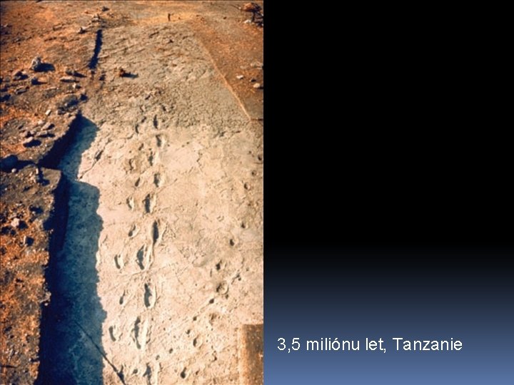 3, 5 miliónu let, Tanzanie 