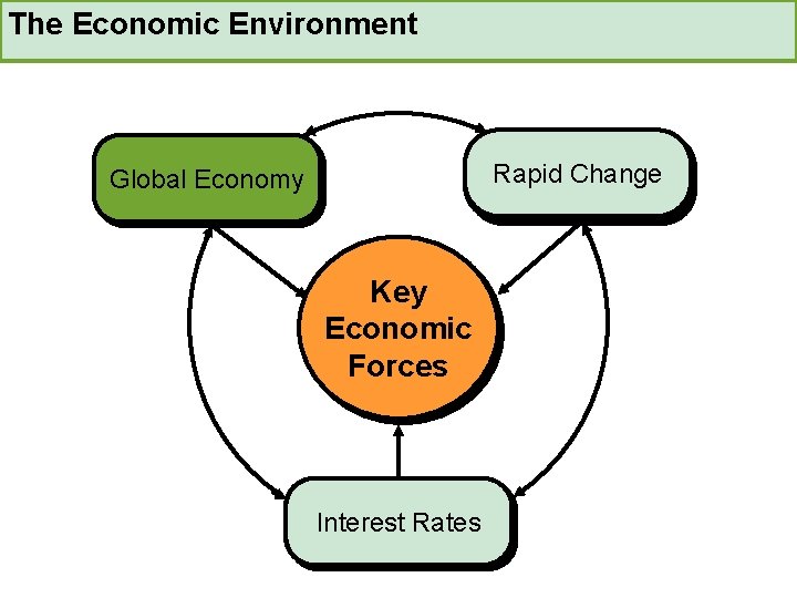 The Economic Environment Rapid Change Global Economy Key Economic Forces Interest Rates 