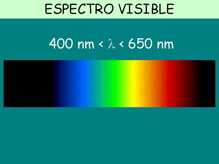 ESPECTRO VISIBLE 400 nm < < 650 nm 