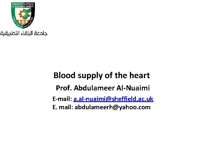 Blood supply of the heart Prof. Abdulameer Al-Nuaimi E-mail: a. al-nuaimi@sheffield. ac. uk E.