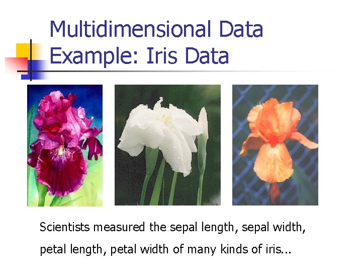 Multidimensional Data Example: Iris Data Scientists measured the sepal length, sepal width, petal length,