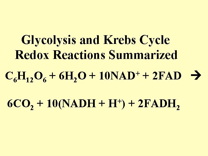 Glycolysis and Krebs Cycle Redox Reactions Summarized C 6 H 12 O 6 Glycolysis and Krebs Cycle Redox Reactions Summarized C 6 H 12 O 6