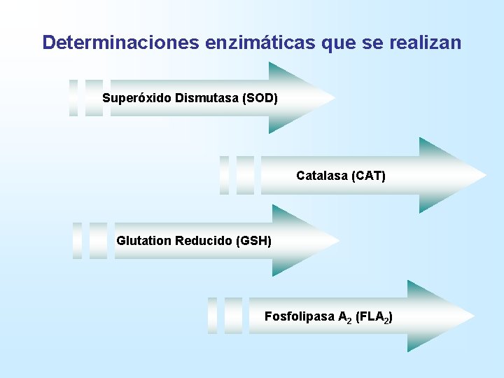 Determinaciones enzimáticas que se realizan Superóxido Dismutasa (SOD) Catalasa (CAT) Glutation Reducido (GSH) Fosfolipasa