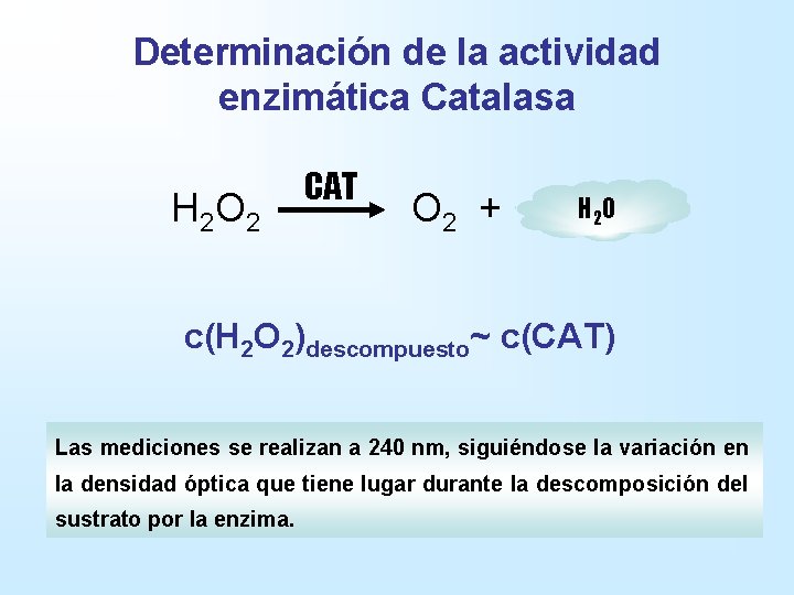 Determinación de la actividad enzimática Catalasa H 2 O 2 CAT O 2 +