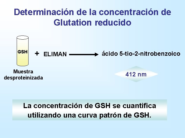 Determinación de la concentración de Glutation reducido GSH + Muestra desproteinizada ELIMAN ácido 5