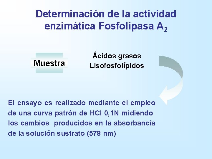 Determinación de la actividad enzimática Fosfolipasa A 2 Muestra Ácidos grasos Lisofosfolípidos El ensayo