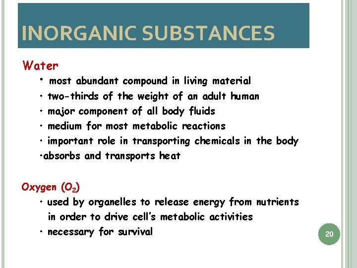 INORGANIC SUBSTANCES Water • most abundant compound in living material • two-thirds of the