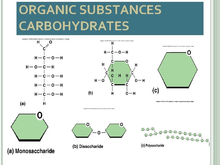 ORGANIC SUBSTANCES CARBOHYDRATES 24 