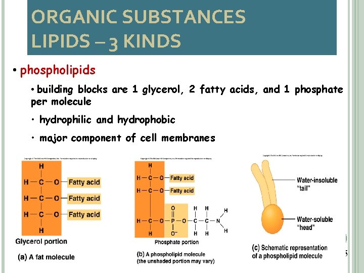 ORGANIC SUBSTANCES LIPIDS – 3 KINDS • phospholipids • building blocks are 1 glycerol,