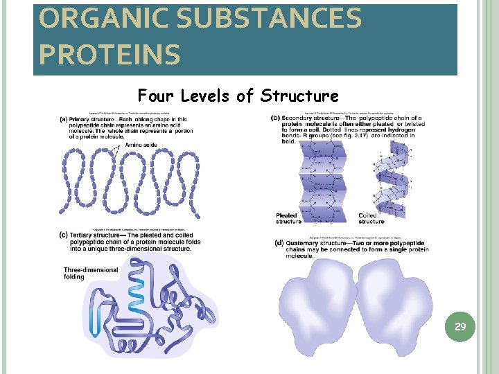 ORGANIC SUBSTANCES PROTEINS Four Levels of Structure 29 