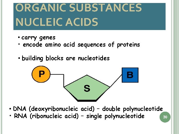 ORGANIC SUBSTANCES NUCLEIC ACIDS • carry genes • encode amino acid sequences of proteins