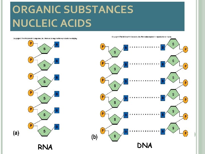 ORGANIC SUBSTANCES NUCLEIC ACIDS 31 RNA DNA 