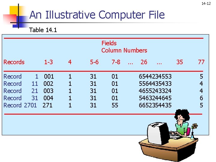 14 -12 An Illustrative Computer File Table 14. 1 Fields Column Numbers Records 1