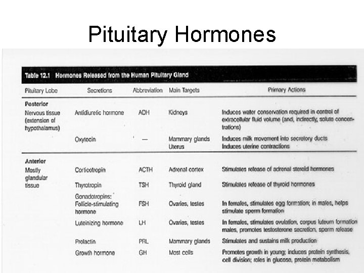 Pituitary Hormones 