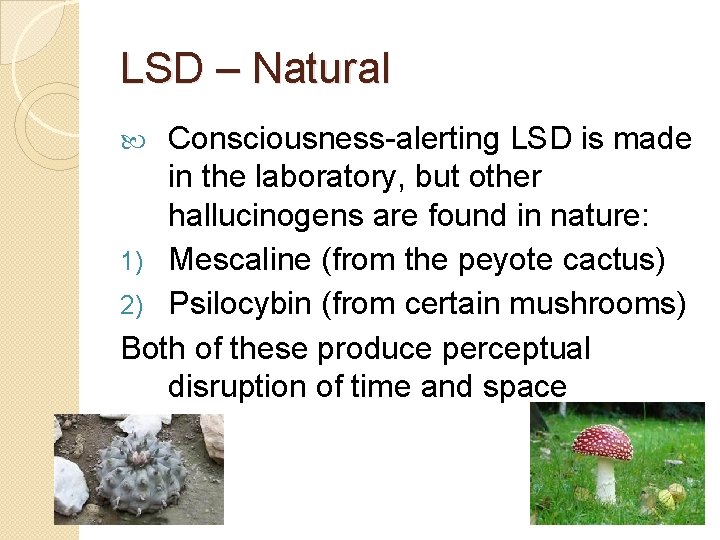 LSD – Natural Consciousness-alerting LSD is made in the laboratory, but other hallucinogens are