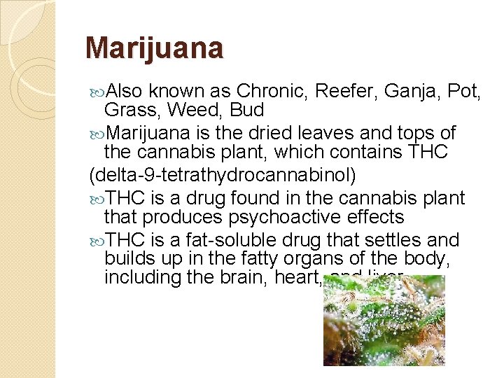 Marijuana Also known as Chronic, Reefer, Ganja, Pot, Grass, Weed, Bud Marijuana is the