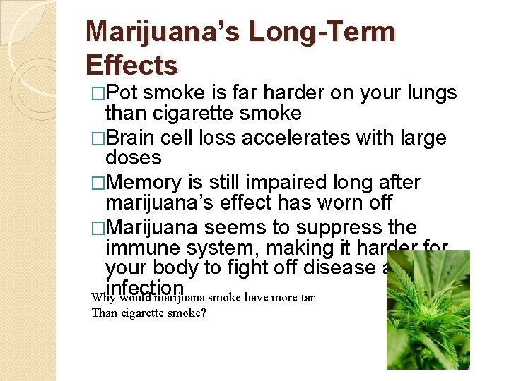 Marijuana’s Long-Term Effects �Pot smoke is far harder on your lungs than cigarette smoke
