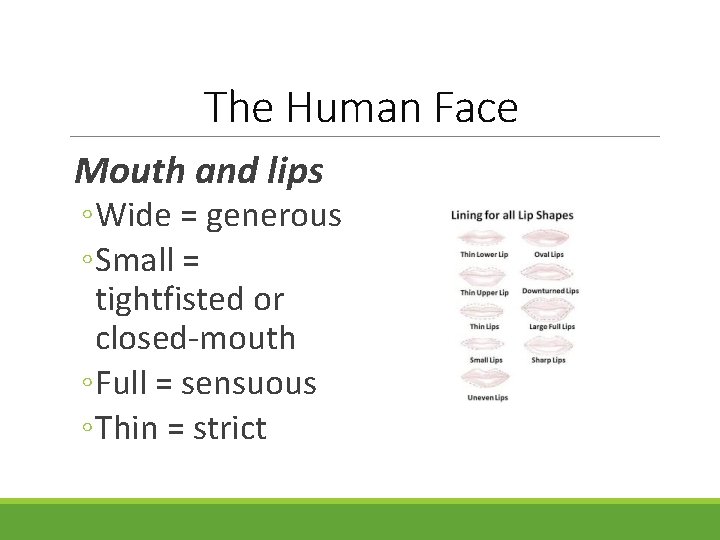 The Human Face Mouth and lips ◦ Wide = generous ◦ Small = tightfisted