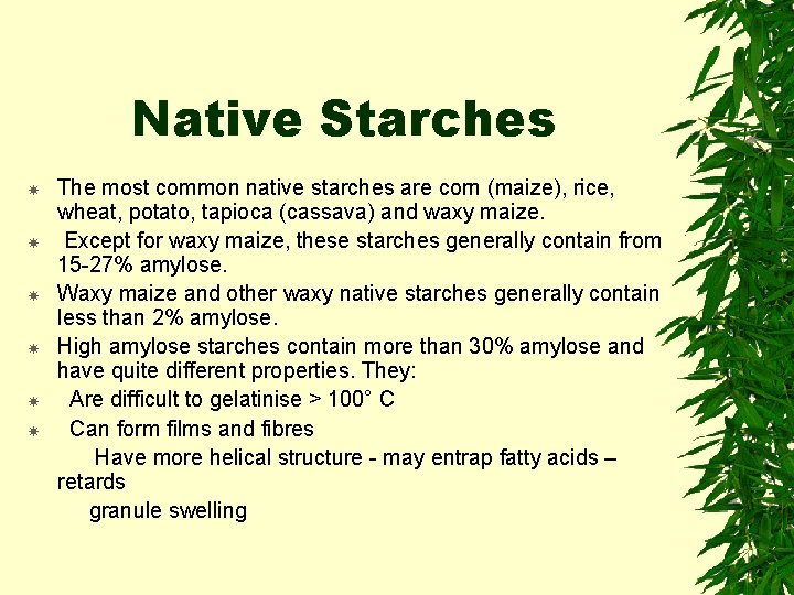 Native Starches The most common native starches are corn (maize), rice, wheat, potato, tapioca