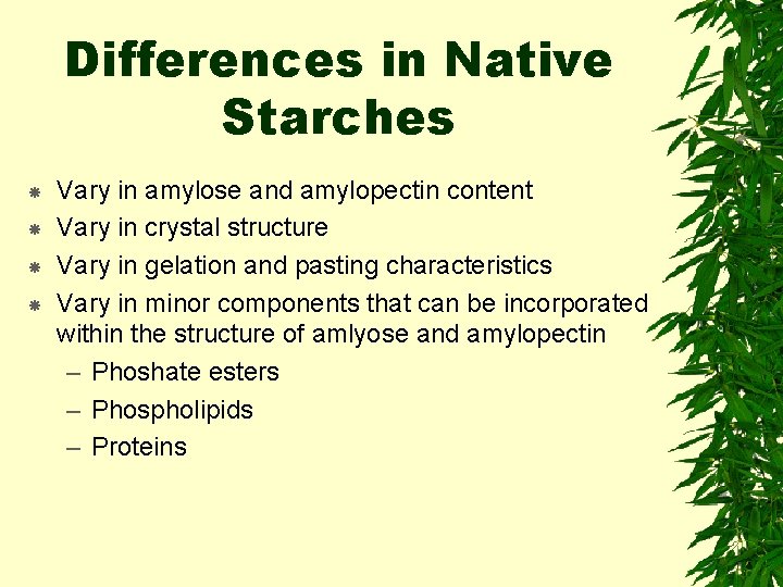 Differences in Native Starches Vary in amylose and amylopectin content Vary in crystal structure