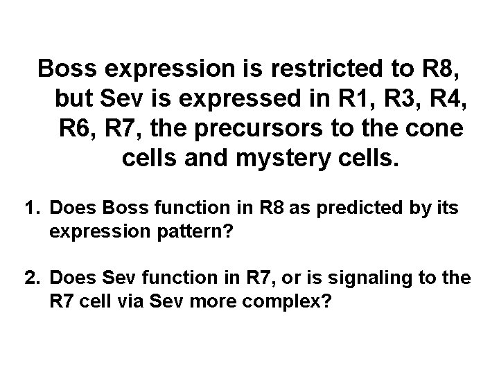 Boss expression is restricted to R 8, but Sev is expressed in R 1,