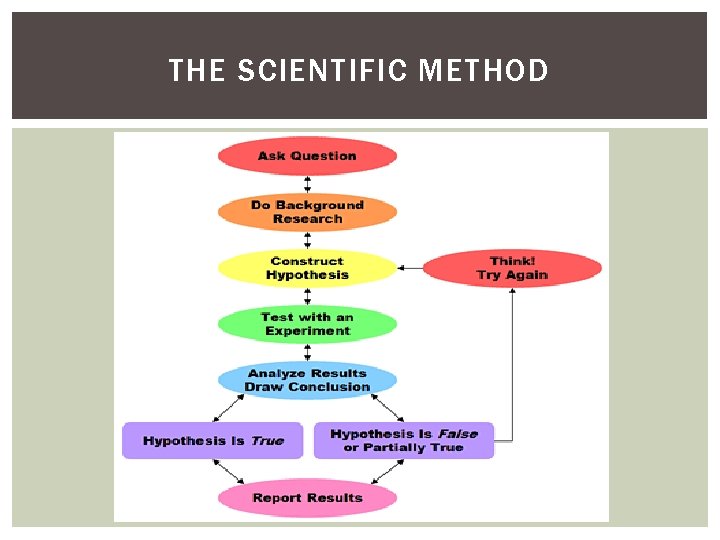 THE SCIENTIFIC METHOD 