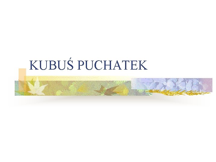 KUBUŚ PUCHATEK 