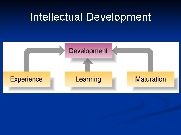 Intellectual Development 