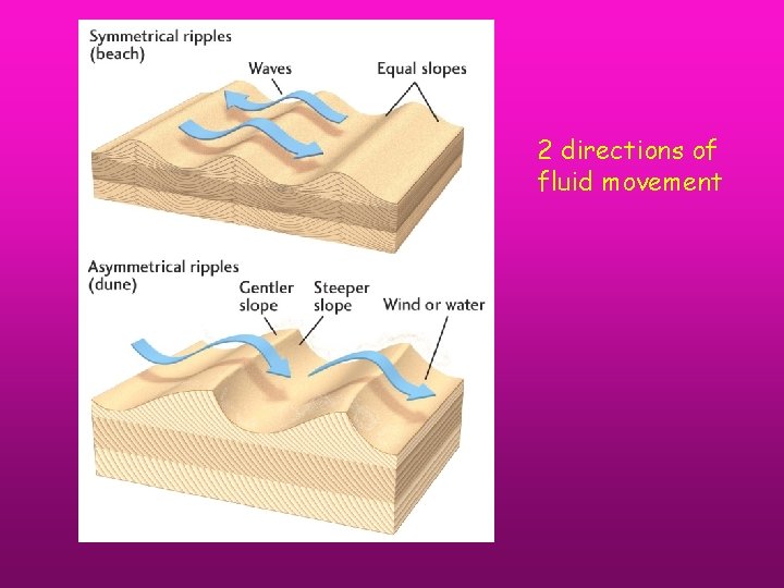 2 directions of fluid movement 