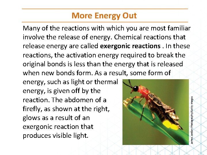 More Energy Out James Jordan Photography/Getty Images Many of the reactions with which you