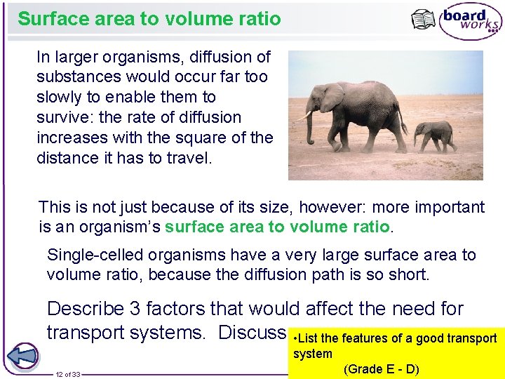 Surface area to volume ratio In larger organisms, diffusion of substances would occur far