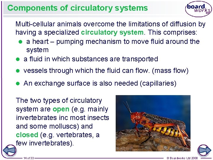 Components of circulatory systems Multi-cellular animals overcome the limitations of diffusion by having a