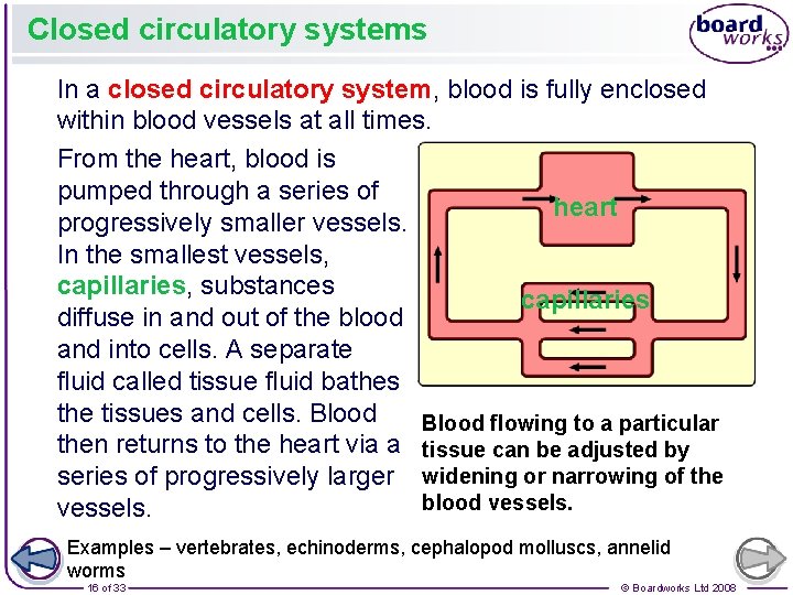 Closed circulatory systems In a closed circulatory system, blood is fully enclosed within blood