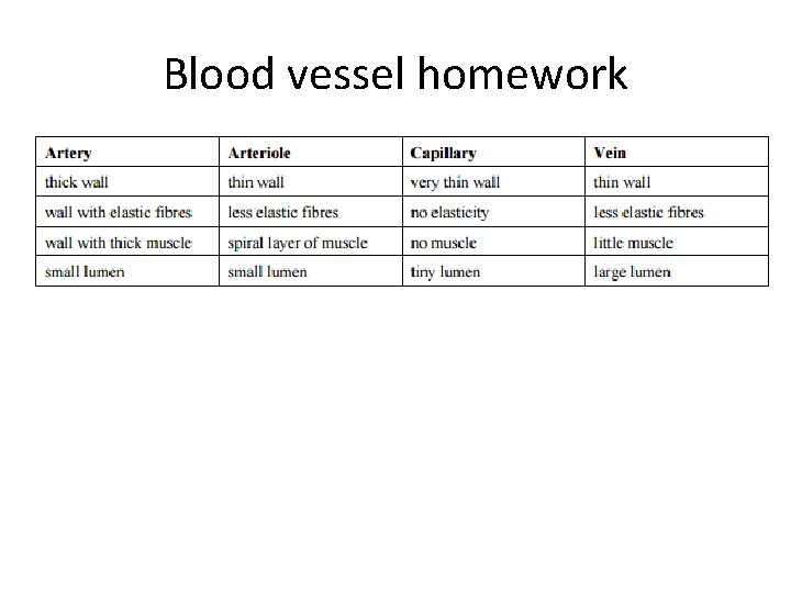 Blood vessel homework 