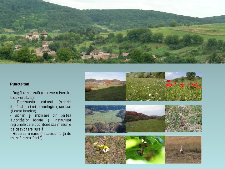 Puncte tari - Bogăția naturală (resurse minerale, biodiversitate). - Patrimoniul cultural (biserici fortificate, situri