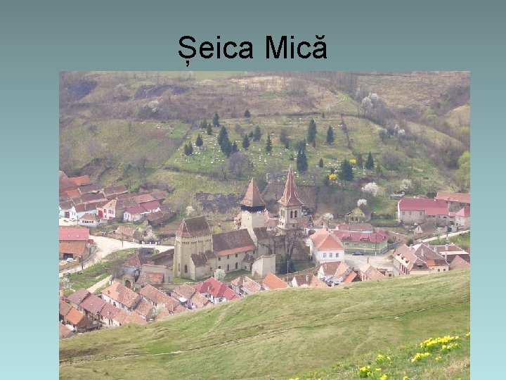 Șeica Mică 