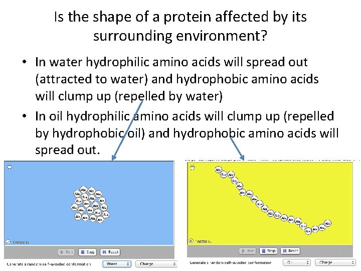 hydrophobic amino acids in water